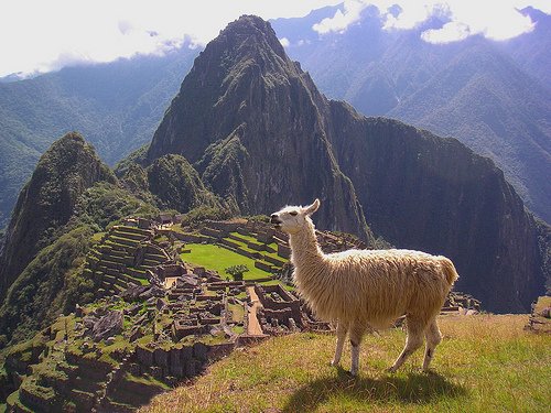 Peru flickr photo