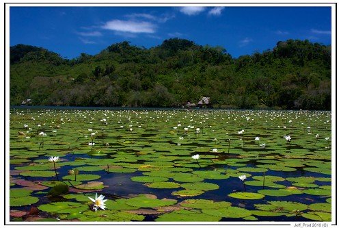 Central America flickr photo