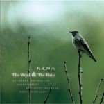 大自然音乐系列.轻风细雨