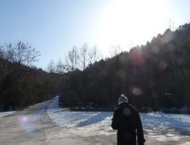 Mike Tahari's profile picture