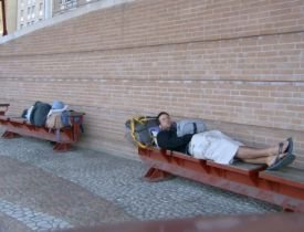 Paul Cole's profile picture