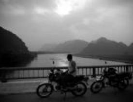 Oscar Webb's profile picture