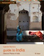 Guide to India cover by Gabriel Morris