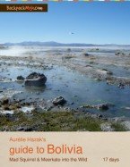 Guide to South America cover by Aurélie Hazak