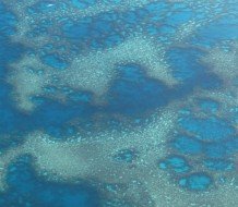 Guide to New Caledonia photo album by Philippe Alran