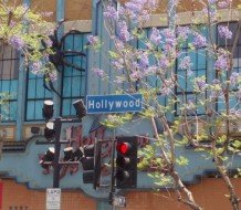 Guide to United States photo album by Jantine de Jong