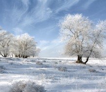 World Tour Guide photo album by Sylvain Heber-Suffrin